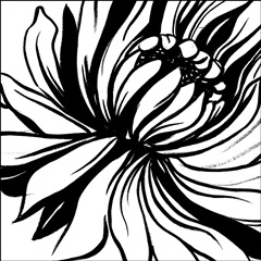 Miniature Botanical Sketch II