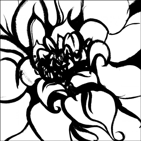 Miniature Botanical Sketch IV