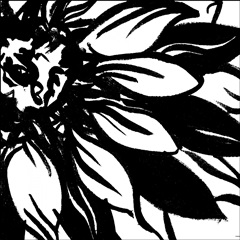 Miniature Botanical Sketch VI