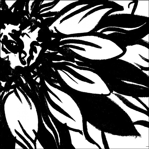 Miniature Botanical Sketch VI