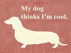 My dog thinks I'm cool