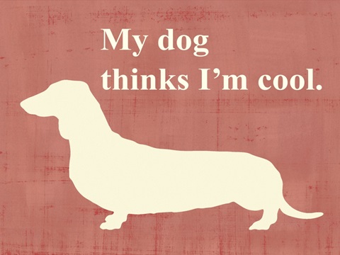 My dog thinks I'm cool