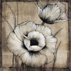 Neutral Poppies I