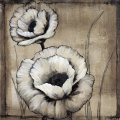 Neutral Poppies II