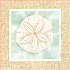 Ocean Sanddollar