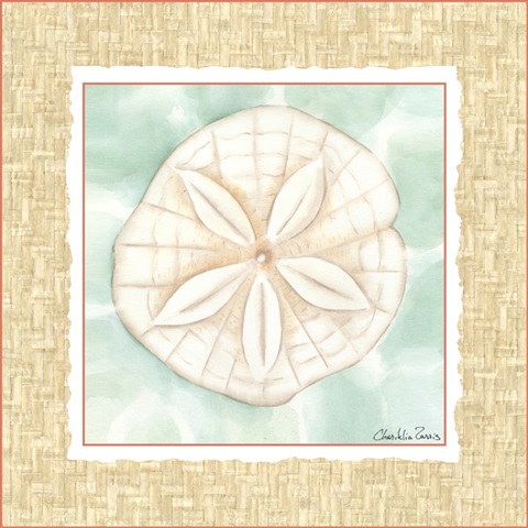 Ocean Sanddollar