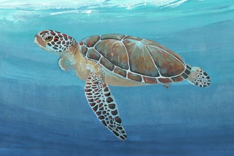 Ocean Sea Turtle II