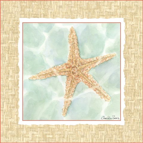 Ocean Starfish