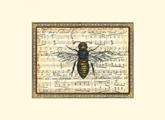 Bumblebee Harmony II