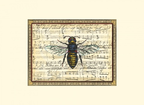 Bumblebee Harmony II