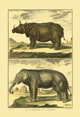 Diderot's Elephant and Rhino