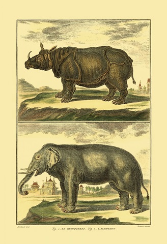 Diderot's Elephant and Rhino