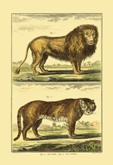 Diderot's Lion and Tiger