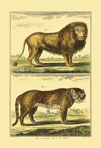 Diderot's Lion and Tiger
