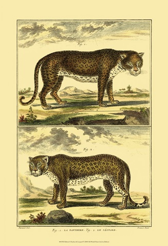 Diderot's Panther and Leopard