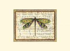 Dragonfly Harmony II
