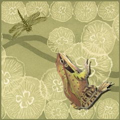 Frog Fable I