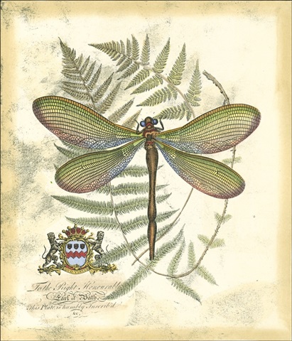 Mini Regal Dragonfly II