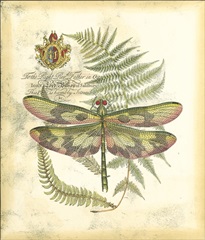 Mini Regal Dragonfly IV