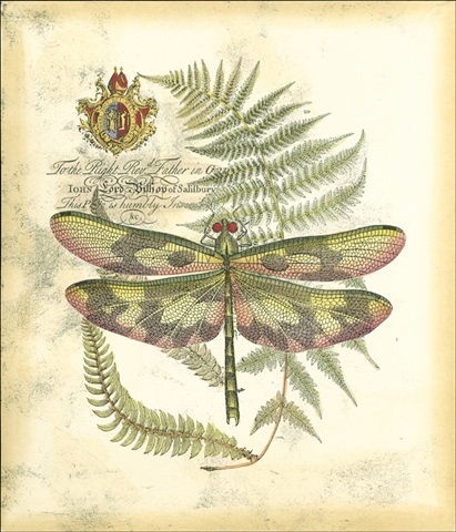 Mini Regal Dragonfly IV