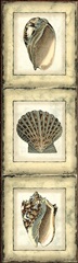 Mini Rustic Shell Panel I