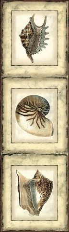 Mini Rustic Shell Panel II