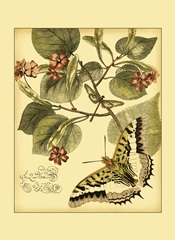 Mini Whimsical Butterflies I