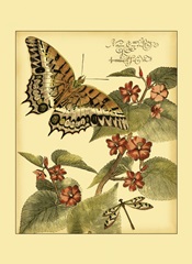 Mini Whimsical Butterflies II