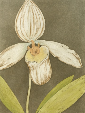 Orchid and Earth III