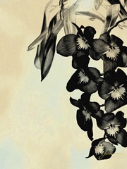 Orchid Blush Panels II