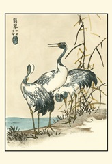Oriental Crane II