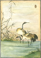 Oriental Cranes II