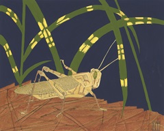 Ornamental Grasshopper I