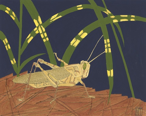 Ornamental Grasshopper I