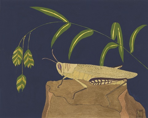 Ornamental Grasshopper II