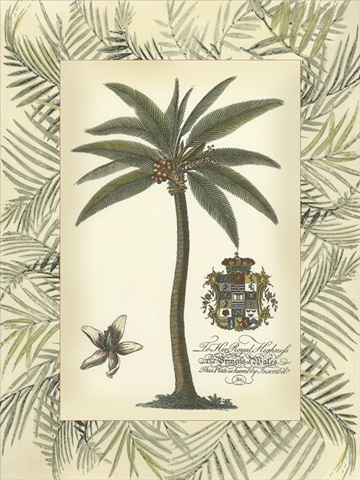 Palm in Bamboo Frame I