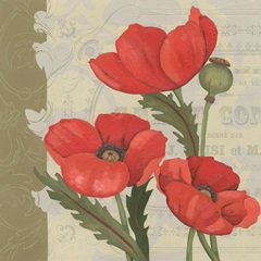 Paris Poppy I