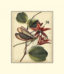 Petite Dragonflies III