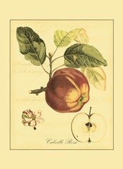 Petite Tuscan Fruits I
