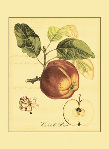 Petite Tuscan Fruits I