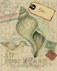 Postcard Shells II