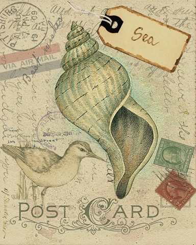Postcard Shells II