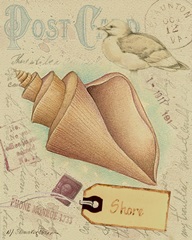 Postcard Shells III