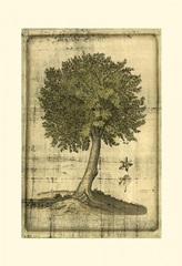 Printed Fruitful Realm I