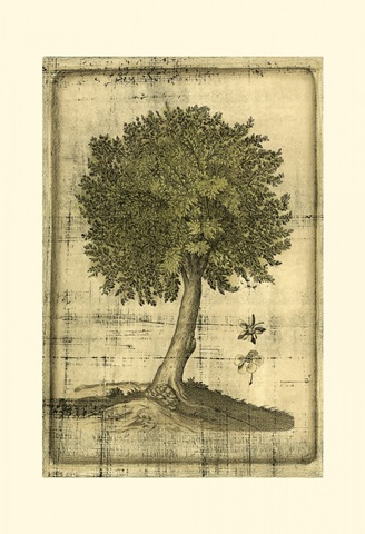 Printed Fruitful Realm I