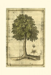 Printed Fruitful Realm II