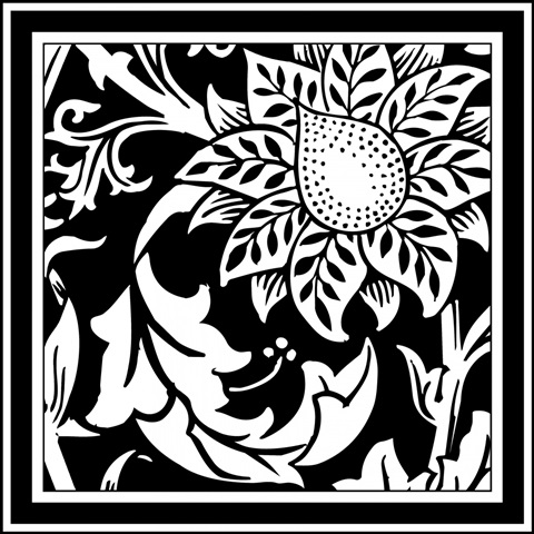 Printed Graphic Floral Motif II