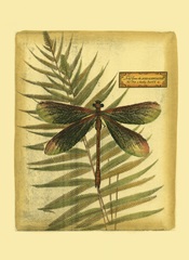 Royal Dragonflies IV