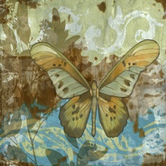Rustic Butterfly II