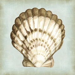 Sea Dream Shells III